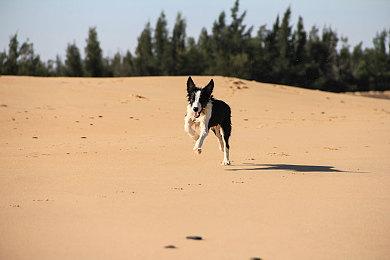 《GTA6》预告片内容泄露：女主在监狱里锻炼身体